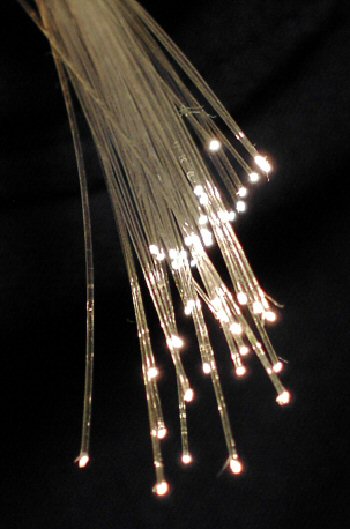 Illuminated bundle of optical fibers