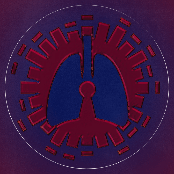 Guided SelfPractice for the Video Laryngoscope