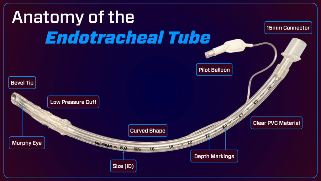 Diagram of the anatomy of an endotracheal tube, labeled with features such as bevel tip, low pressure cuff, Murphy eye, curved shape, size ID, pilot balloon, clear PVC material, depth markings, and 15mm connector.