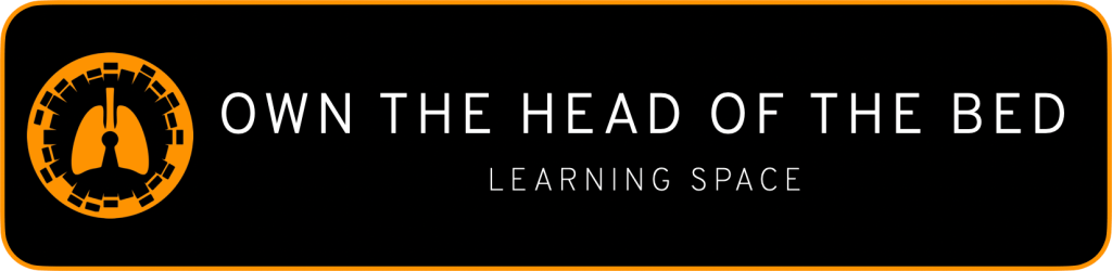 A black banner with orange accents featuring the text 'OWN THE HEAD OF THE BED' and 'LEARNING SPACE' along with a graphic of lungs.