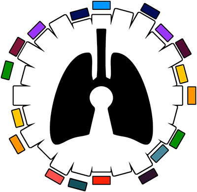 Graphic illustration of lungs surrounded by a colorful circular arrangement of blocks.